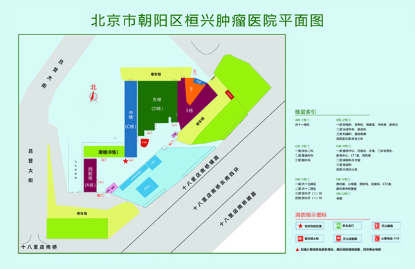 骚笔。con北京市朝阳区桓兴肿瘤医院平面图